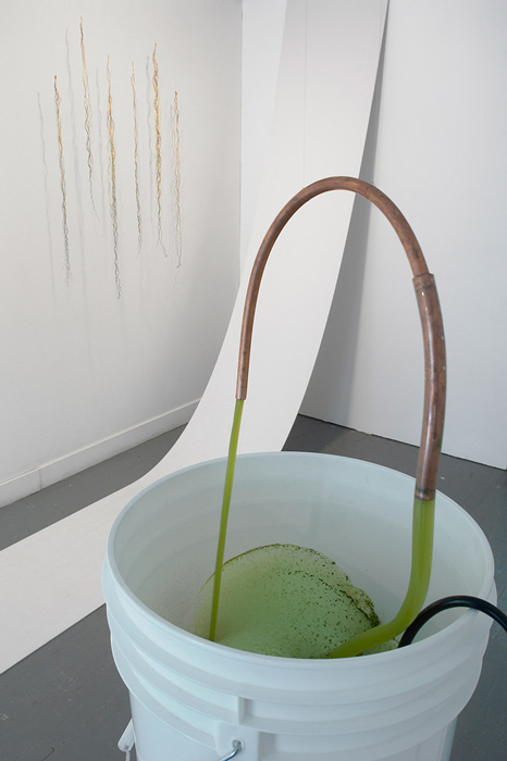 lost in contemplum matcha fountain